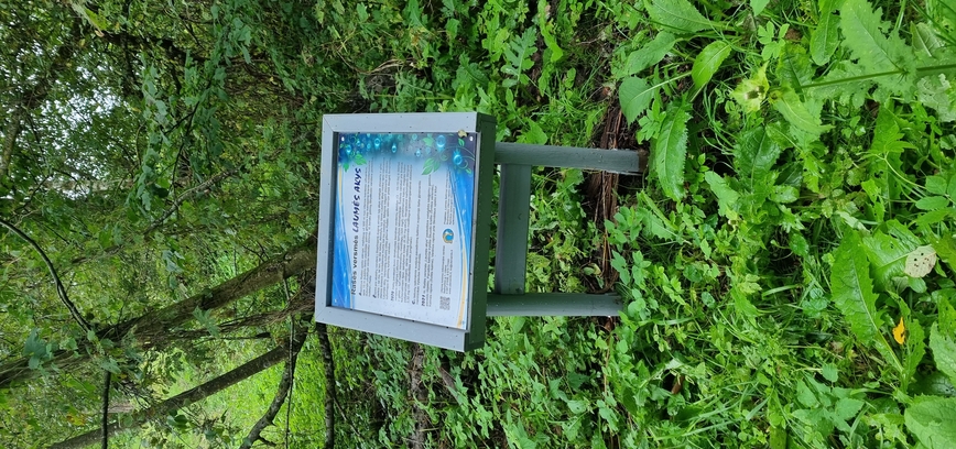 Įrengtos nuorodos ir informacinis stendas prie Rašės versmių „Laumės akys“