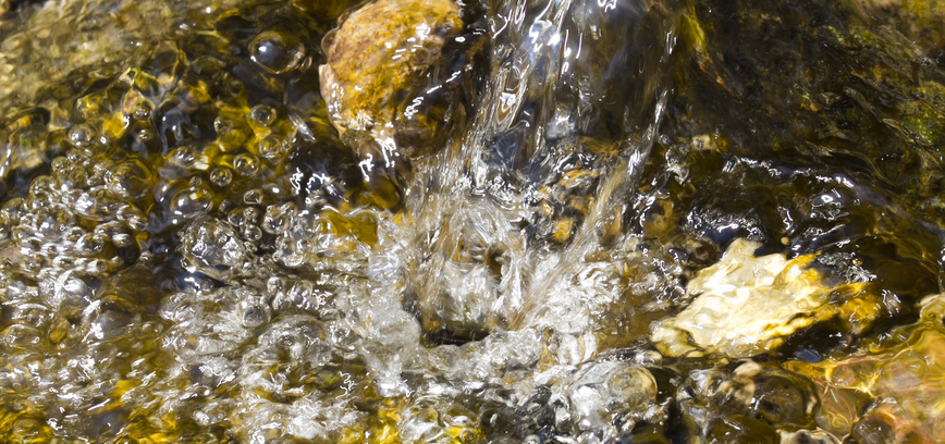 Paminėta Pasaulinė aplinkos apsaugos diena