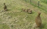 image00003.jpeg
