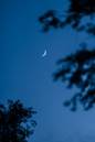 DSC07281.jpg