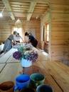 IMG_20230927_120439.jpg