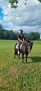 Messenger_creation_BD01990D-4AC4-42B6-BBC1-DD3FF4700073.jpeg