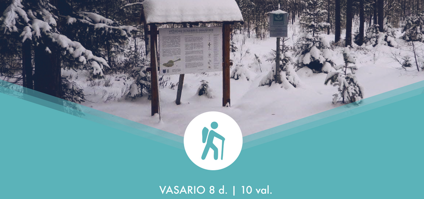 Tarptautinės pelkių dienos žygis į Vyžuonų botaninį draustinį 