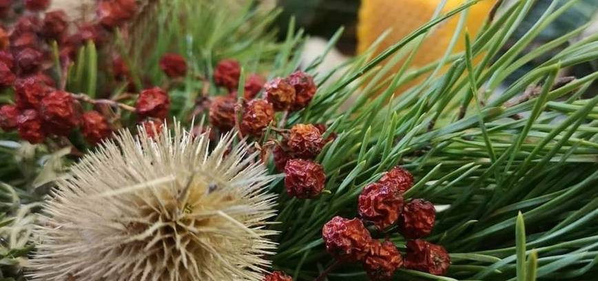 Advento vainikų dirbutuvės Utenos kraštotyros muziejuje