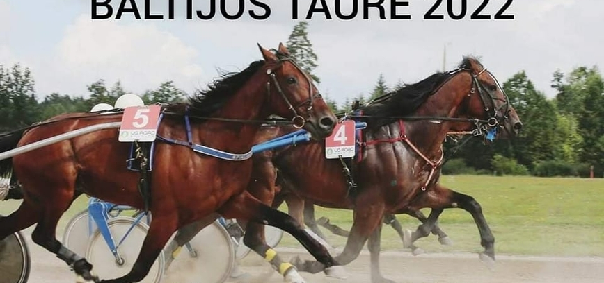 Žirgų šventė ir aludarių susitikimų diena