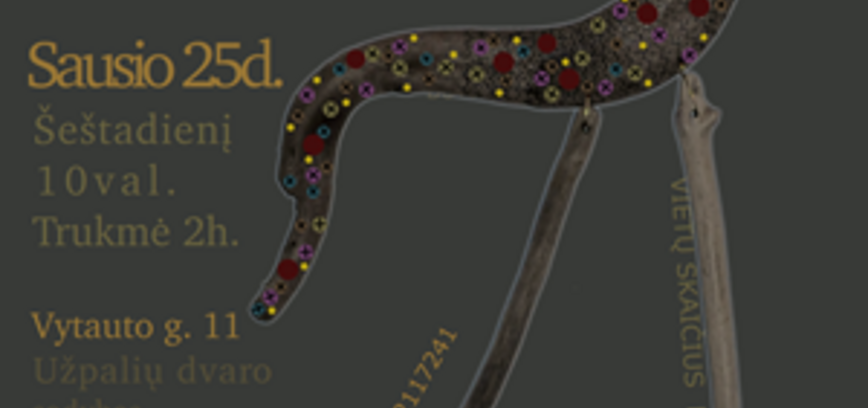 Vaizduotės lavinimo edukacija