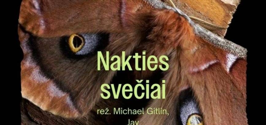 Dokumentinis filmas NAKTIES SVEČIAI