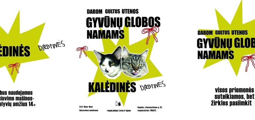 Kalėdinės dirbtuvės gyvūnams