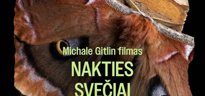 Dokumentinis filmas NAKTIES SVEČIAI (Utenoje)