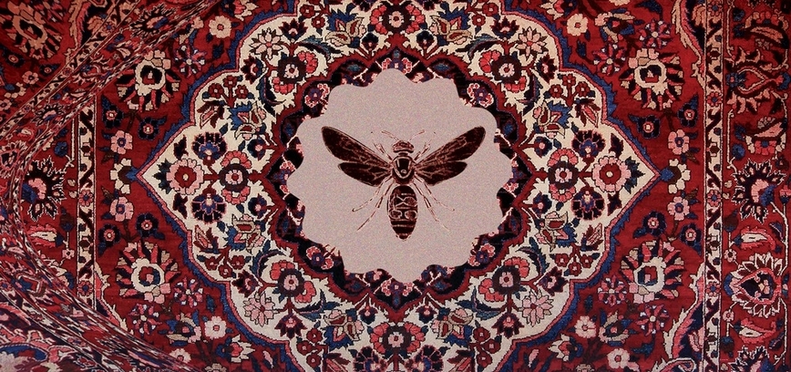 VASAROS VAPSVOS GELIA MUS NET LAPKRITĮ 