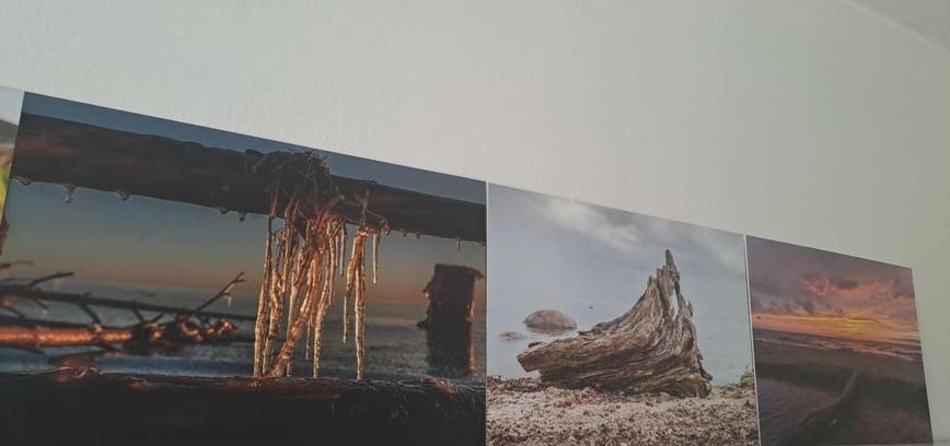 EGLŪNO ŽIDONIO fotografijų paroda