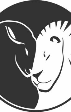 Svētku pusdienas/vakariņas LION AND AVENUE bistro