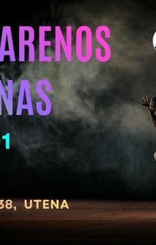 VI Марафон на арене Утена