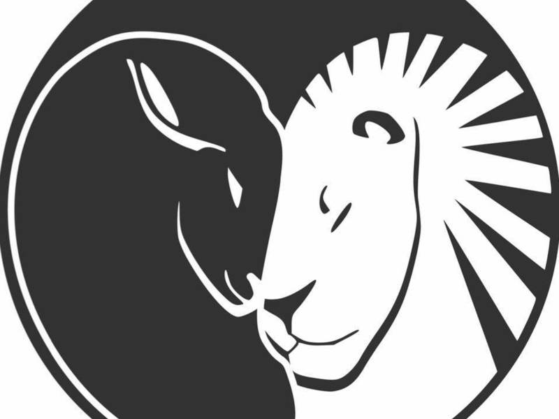 Festive lunch/dinner at LION AND AVENUE bistro