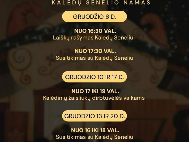Veiklos Kalėdų senelio namelyje