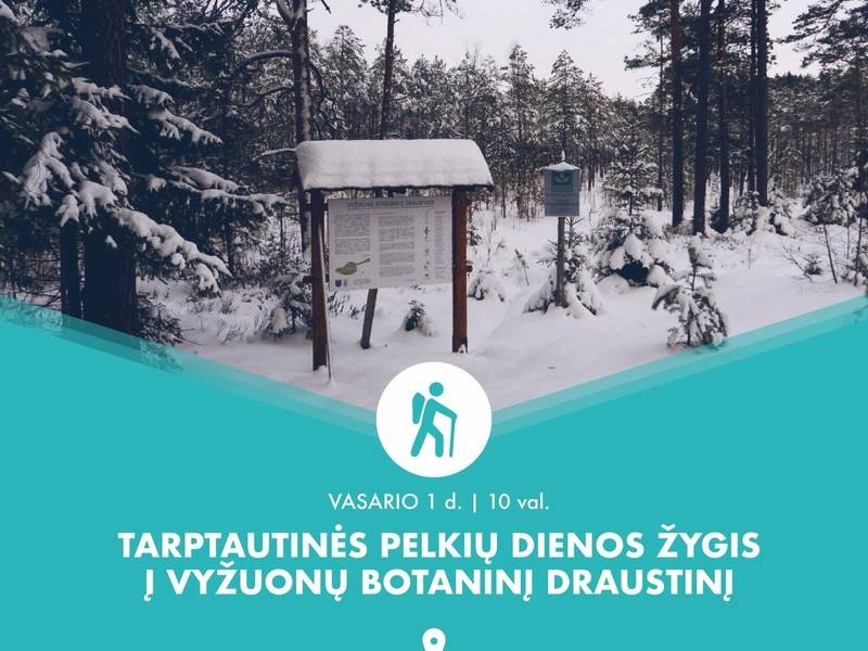 Tarptautinės pelkių dienos žygis į Vyžuonų botaninį draustinį 