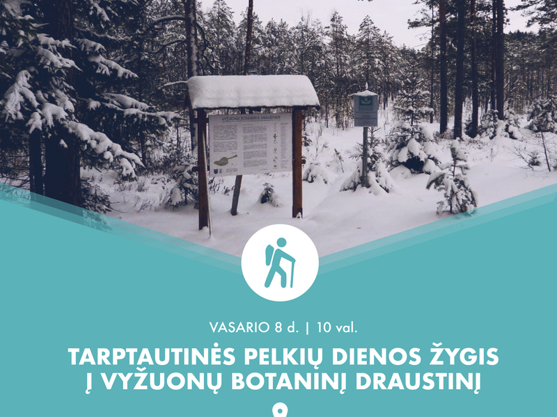 Tarptautinės pelkių dienos žygis į Vyžuonų botaninį draustinį 