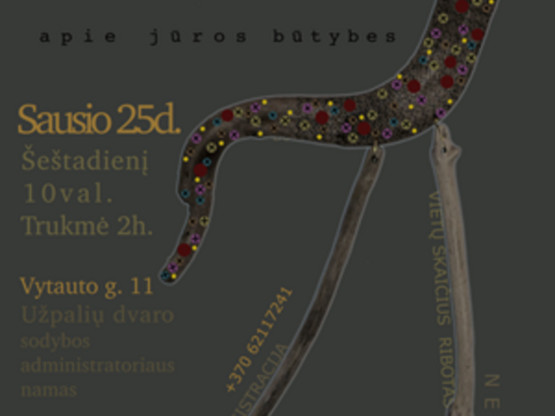 Vaizduotės lavinimo edukacija