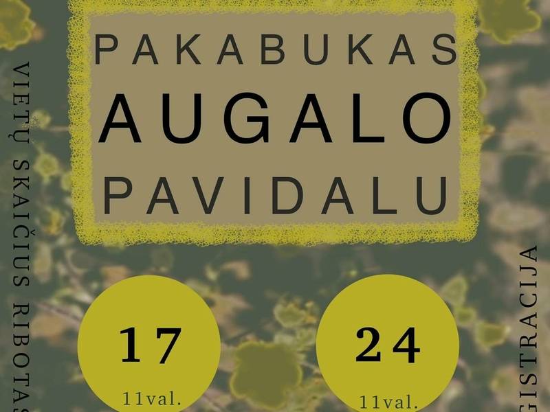 Edukacija "Pakabukas augalo pavidalu"