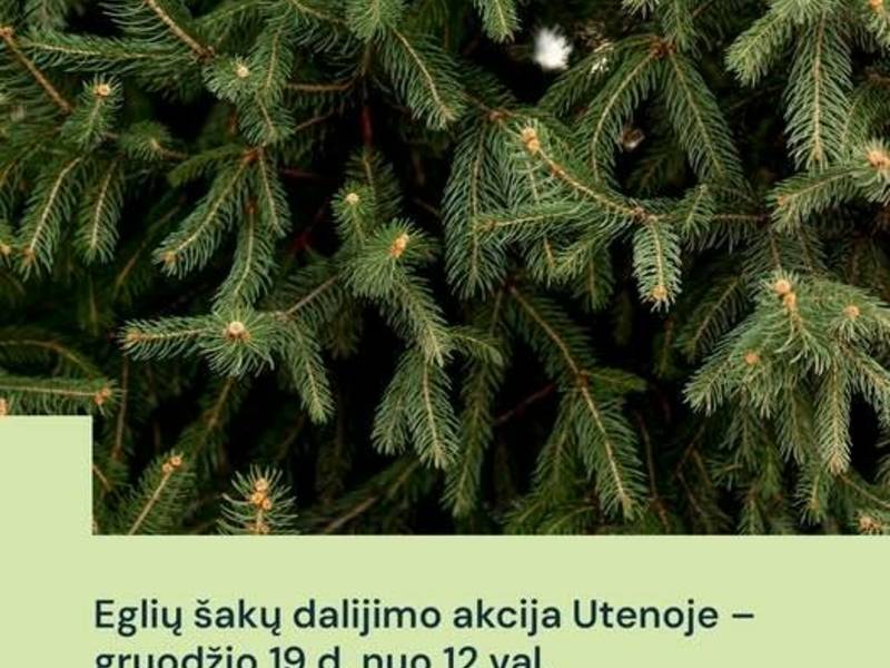 Akcija „Parsinešk Kalėdas į savo namus“ – Utenoje