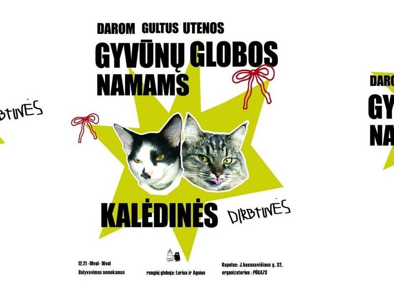 Kalėdinės dirbtuvės gyvūnams