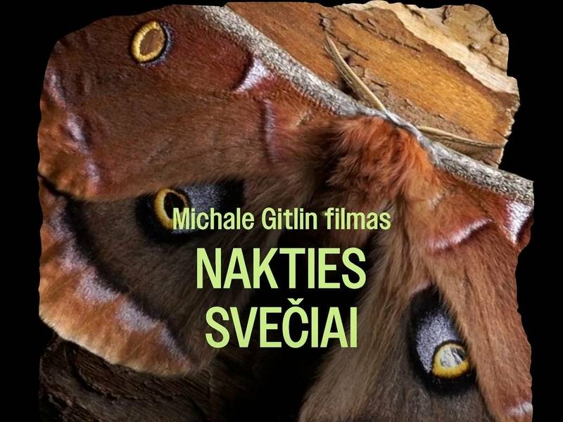 Dokumentinis filmas NAKTIES SVEČIAI (Utenoje)