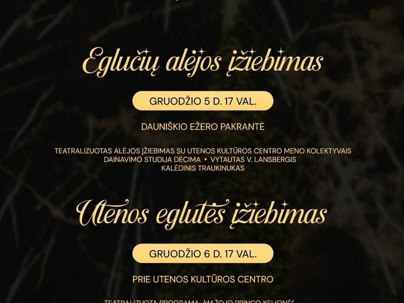 Eglučių alėjos įžiebimas Dauniškio ežero pakrantėje