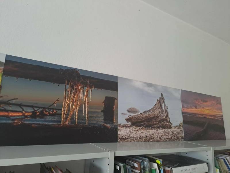 EGLŪNO ŽIDONIO fotografijų paroda