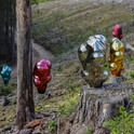 Remigijaus Kriuko (stiklas) ir Indrės Stulgaitės-Kriukienės (fotografija) paroda „Miško dvasios“