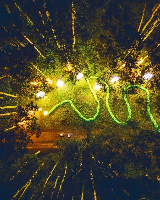 Kalėdos Utena Eglučių alėja