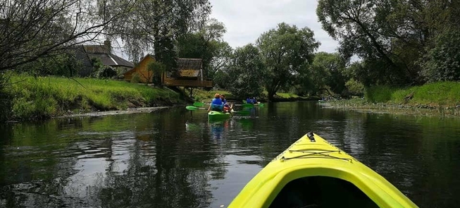 Tomas kayaks
